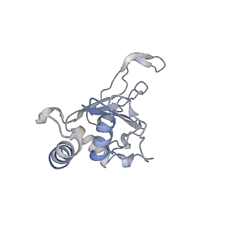 0177_6ha8_F_v1-3
Cryo-EM structure of the ABCF protein VmlR bound to the Bacillus subtilis ribosome