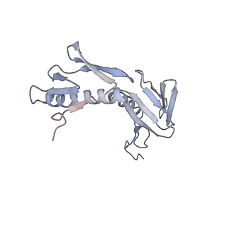0177_6ha8_G_v1-3
Cryo-EM structure of the ABCF protein VmlR bound to the Bacillus subtilis ribosome