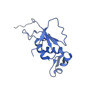 0177_6ha8_J_v1-3
Cryo-EM structure of the ABCF protein VmlR bound to the Bacillus subtilis ribosome
