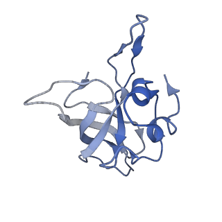 0177_6ha8_K_v1-3
Cryo-EM structure of the ABCF protein VmlR bound to the Bacillus subtilis ribosome