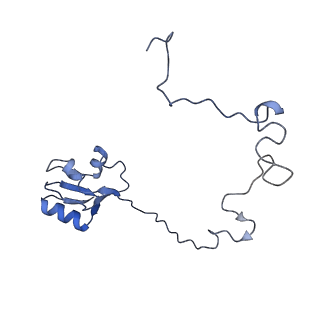 0177_6ha8_L_v1-3
Cryo-EM structure of the ABCF protein VmlR bound to the Bacillus subtilis ribosome