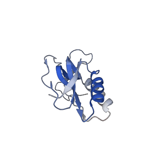 0177_6ha8_M_v1-3
Cryo-EM structure of the ABCF protein VmlR bound to the Bacillus subtilis ribosome