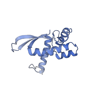 0177_6ha8_N_v1-3
Cryo-EM structure of the ABCF protein VmlR bound to the Bacillus subtilis ribosome