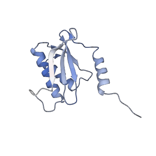 0177_6ha8_O_v1-3
Cryo-EM structure of the ABCF protein VmlR bound to the Bacillus subtilis ribosome