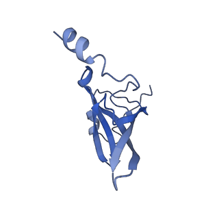 0177_6ha8_P_v1-3
Cryo-EM structure of the ABCF protein VmlR bound to the Bacillus subtilis ribosome