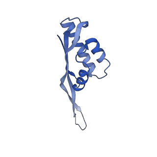 0177_6ha8_S_v1-3
Cryo-EM structure of the ABCF protein VmlR bound to the Bacillus subtilis ribosome