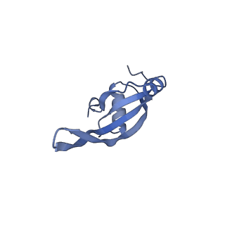 0177_6ha8_T_v1-3
Cryo-EM structure of the ABCF protein VmlR bound to the Bacillus subtilis ribosome
