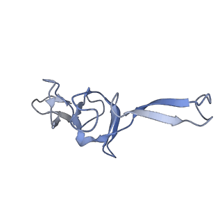 0177_6ha8_U_v1-3
Cryo-EM structure of the ABCF protein VmlR bound to the Bacillus subtilis ribosome