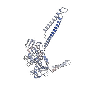 0177_6ha8_V_v1-3
Cryo-EM structure of the ABCF protein VmlR bound to the Bacillus subtilis ribosome