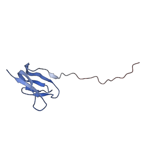 0177_6ha8_W_v1-3
Cryo-EM structure of the ABCF protein VmlR bound to the Bacillus subtilis ribosome