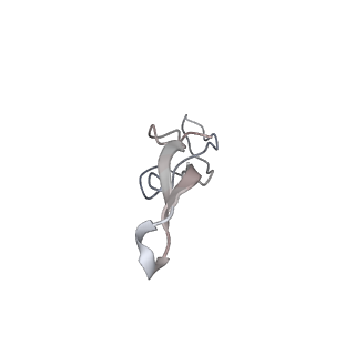 0177_6ha8_X_v1-3
Cryo-EM structure of the ABCF protein VmlR bound to the Bacillus subtilis ribosome