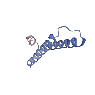 0177_6ha8_Y_v1-3
Cryo-EM structure of the ABCF protein VmlR bound to the Bacillus subtilis ribosome