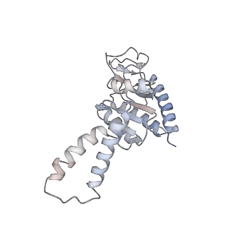 0177_6ha8_b_v1-3
Cryo-EM structure of the ABCF protein VmlR bound to the Bacillus subtilis ribosome