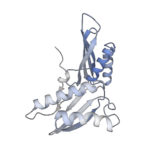 0177_6ha8_c_v1-3
Cryo-EM structure of the ABCF protein VmlR bound to the Bacillus subtilis ribosome