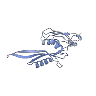 0177_6ha8_e_v1-3
Cryo-EM structure of the ABCF protein VmlR bound to the Bacillus subtilis ribosome