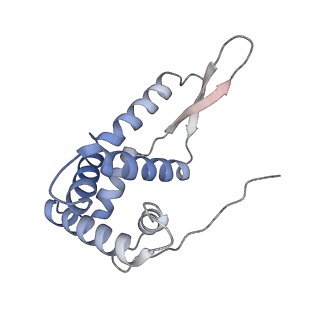 0177_6ha8_g_v1-3
Cryo-EM structure of the ABCF protein VmlR bound to the Bacillus subtilis ribosome