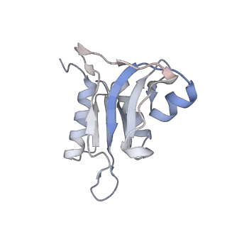 0177_6ha8_h_v1-3
Cryo-EM structure of the ABCF protein VmlR bound to the Bacillus subtilis ribosome