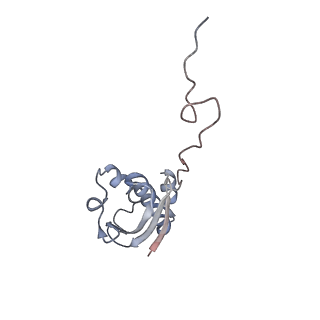 0177_6ha8_i_v1-3
Cryo-EM structure of the ABCF protein VmlR bound to the Bacillus subtilis ribosome