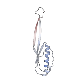0177_6ha8_j_v1-3
Cryo-EM structure of the ABCF protein VmlR bound to the Bacillus subtilis ribosome