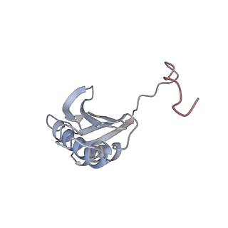 0177_6ha8_k_v1-3
Cryo-EM structure of the ABCF protein VmlR bound to the Bacillus subtilis ribosome