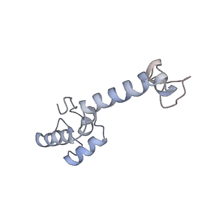 0177_6ha8_m_v1-3
Cryo-EM structure of the ABCF protein VmlR bound to the Bacillus subtilis ribosome