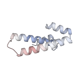 0177_6ha8_o_v1-3
Cryo-EM structure of the ABCF protein VmlR bound to the Bacillus subtilis ribosome