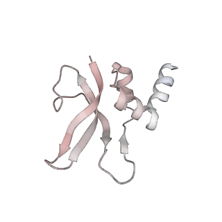 0177_6ha8_p_v1-3
Cryo-EM structure of the ABCF protein VmlR bound to the Bacillus subtilis ribosome