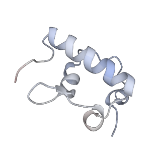 0177_6ha8_r_v1-3
Cryo-EM structure of the ABCF protein VmlR bound to the Bacillus subtilis ribosome
