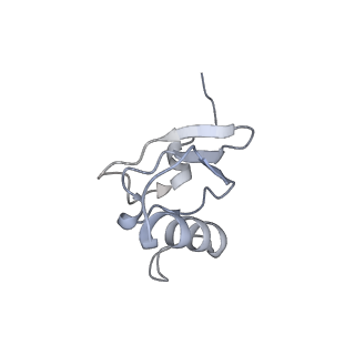 0177_6ha8_s_v1-3
Cryo-EM structure of the ABCF protein VmlR bound to the Bacillus subtilis ribosome