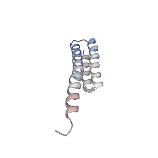 0177_6ha8_t_v1-3
Cryo-EM structure of the ABCF protein VmlR bound to the Bacillus subtilis ribosome