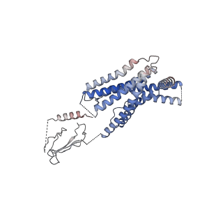 34585_8ha0_R_v1-1
Molecular recognition of two endogenous hormones by the human parathyroid hormone receptor-1