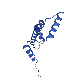 34588_8hag_E_v1-1
Cryo-EM structure of the p300 catalytic core bound to the H4K12acK16ac nucleosome, class 1 (3.2 angstrom resolution)