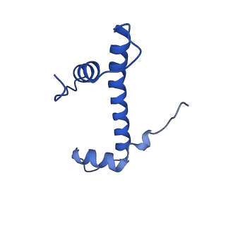 34588_8hag_F_v1-1
Cryo-EM structure of the p300 catalytic core bound to the H4K12acK16ac nucleosome, class 1 (3.2 angstrom resolution)