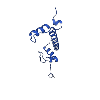 34588_8hag_G_v1-1
Cryo-EM structure of the p300 catalytic core bound to the H4K12acK16ac nucleosome, class 1 (3.2 angstrom resolution)
