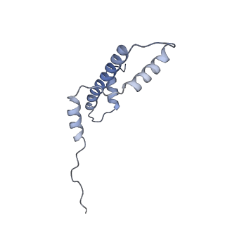 34589_8hah_A_v1-1
Cryo-EM structure of the p300 catalytic core bound to the H4K12acK16ac nucleosome, class 2 (3.9 angstrom resolution)