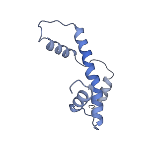 34589_8hah_E_v1-1
Cryo-EM structure of the p300 catalytic core bound to the H4K12acK16ac nucleosome, class 2 (3.9 angstrom resolution)
