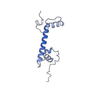 34589_8hah_G_v1-1
Cryo-EM structure of the p300 catalytic core bound to the H4K12acK16ac nucleosome, class 2 (3.9 angstrom resolution)