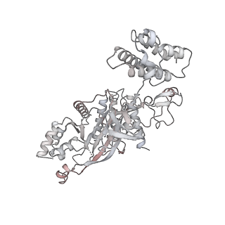 34589_8hah_K_v1-1
Cryo-EM structure of the p300 catalytic core bound to the H4K12acK16ac nucleosome, class 2 (3.9 angstrom resolution)