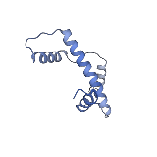 34591_8hai_A_v1-1
Cryo-EM structure of the p300 catalytic core bound to the H4K12acK16ac nucleosome, class 1 (4.7 angstrom resolution)