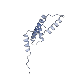 34592_8haj_A_v1-1
Cryo-EM structure of the p300 catalytic core bound to the H4K12acK16ac nucleosome, class 2 (4.8 angstrom resolution)