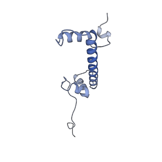 34592_8haj_C_v1-1
Cryo-EM structure of the p300 catalytic core bound to the H4K12acK16ac nucleosome, class 2 (4.8 angstrom resolution)