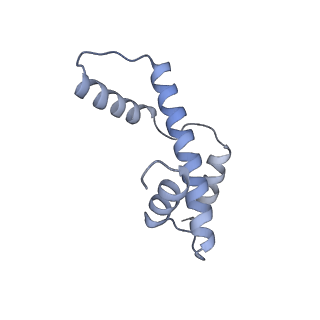 34592_8haj_E_v1-1
Cryo-EM structure of the p300 catalytic core bound to the H4K12acK16ac nucleosome, class 2 (4.8 angstrom resolution)