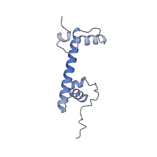34592_8haj_G_v1-1
Cryo-EM structure of the p300 catalytic core bound to the H4K12acK16ac nucleosome, class 2 (4.8 angstrom resolution)