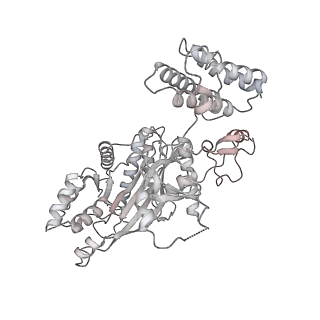 34592_8haj_K_v1-1
Cryo-EM structure of the p300 catalytic core bound to the H4K12acK16ac nucleosome, class 2 (4.8 angstrom resolution)