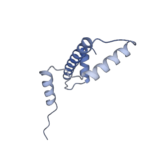 34594_8hak_E_v1-1
Cryo-EM structure of the p300 catalytic core bound to the H4K12acK16ac nucleosome, class 4 (4.5 angstrom resolution)