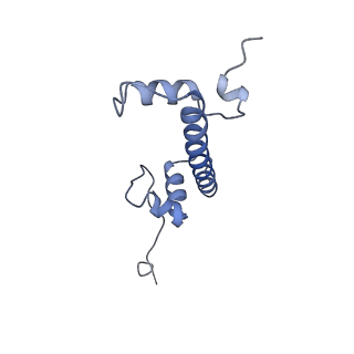 34594_8hak_G_v1-1
Cryo-EM structure of the p300 catalytic core bound to the H4K12acK16ac nucleosome, class 4 (4.5 angstrom resolution)