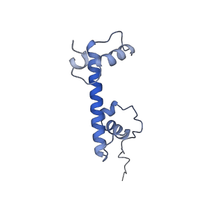 34595_8hal_C_v1-1
Cryo-EM structure of the CBP catalytic core bound to the H4K12acK16ac nucleosome, class 1