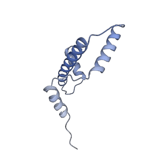 34595_8hal_E_v1-1
Cryo-EM structure of the CBP catalytic core bound to the H4K12acK16ac nucleosome, class 1