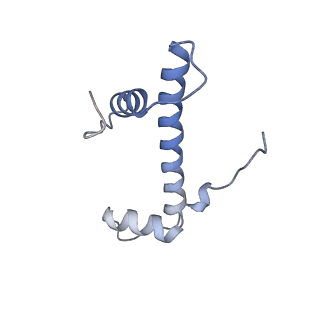 34595_8hal_F_v1-1
Cryo-EM structure of the CBP catalytic core bound to the H4K12acK16ac nucleosome, class 1