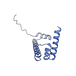 34595_8hal_H_v1-1
Cryo-EM structure of the CBP catalytic core bound to the H4K12acK16ac nucleosome, class 1